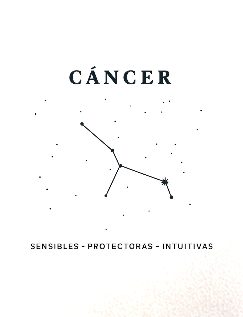 Camiseta Crop Cáncer Clasic. L 559